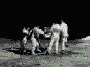 Attending the Americans on the Moon